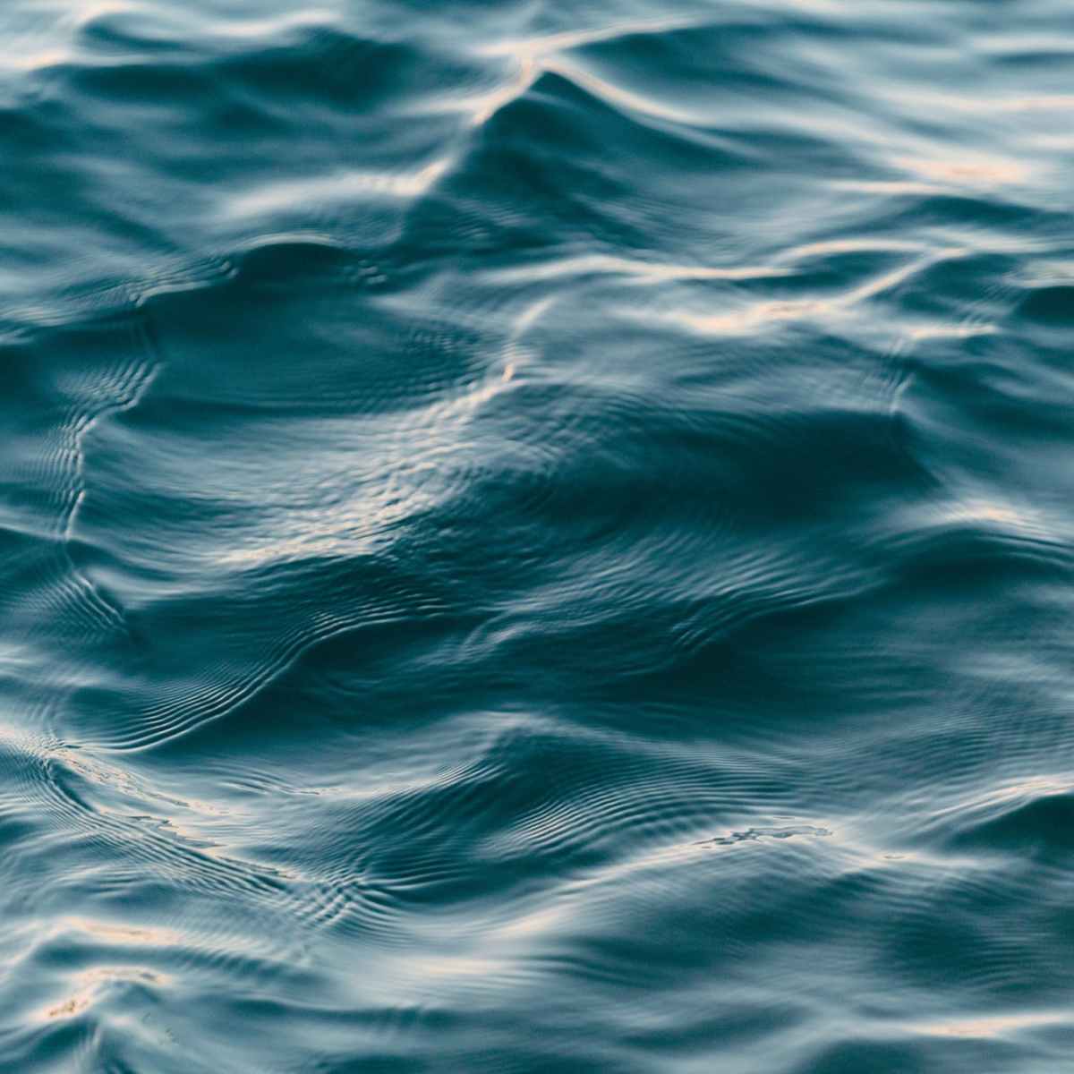 Guardians of the Bays AGM&nbsp;minute