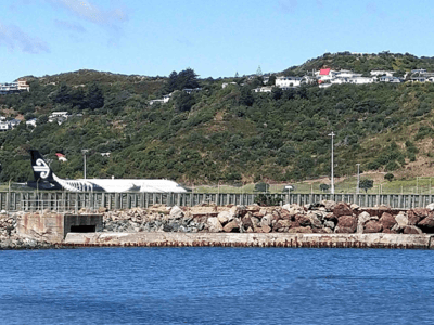 Reducing Stormwater Pollution