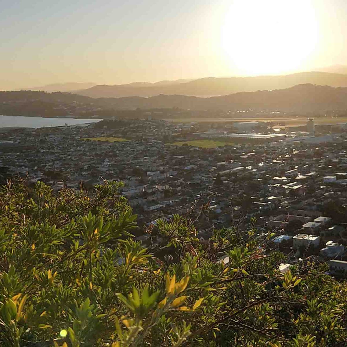 Annual Report presented at the&nbsp;AGM