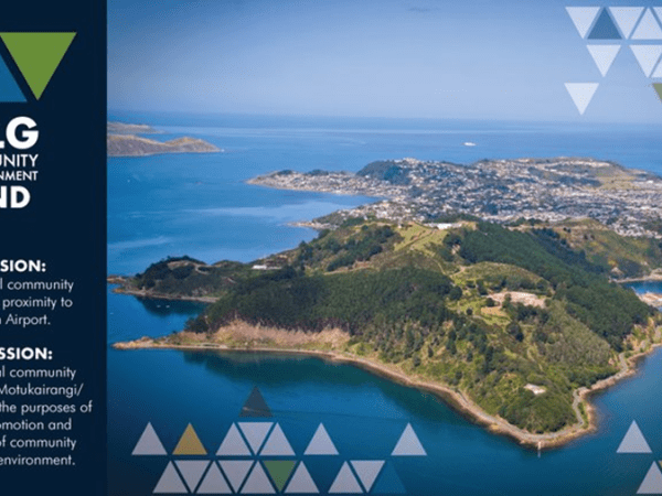 2024 WLG Community and Environment Trust&nbsp;allocations