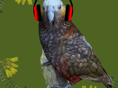 Plane Sense has been to the High&nbsp;Court